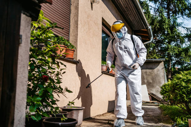Best Emergency Pest Control  in Lorenzo, TX