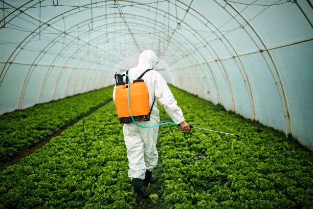 Best Best Pest Control Near Me  in Lorenzo, TX